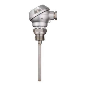 JUMO 901030 Thermocouple with connection head