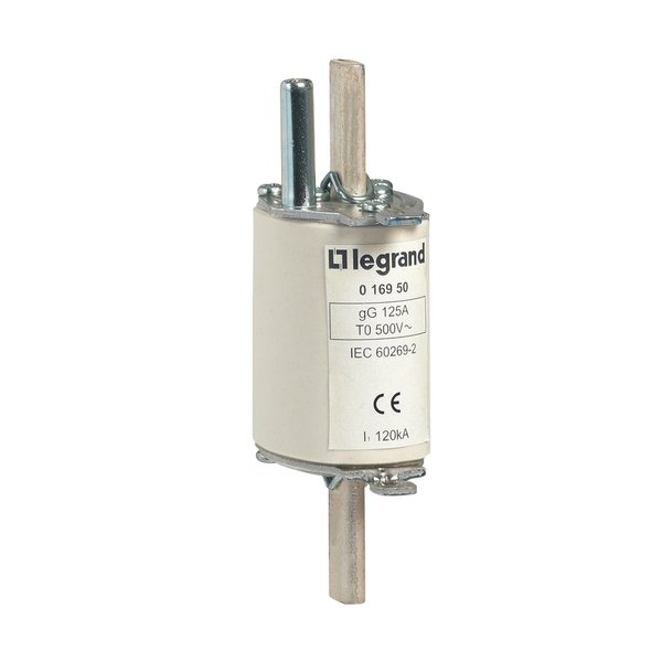 Legrand 016940 Industrial Blade-type Cartridge GG Type Size