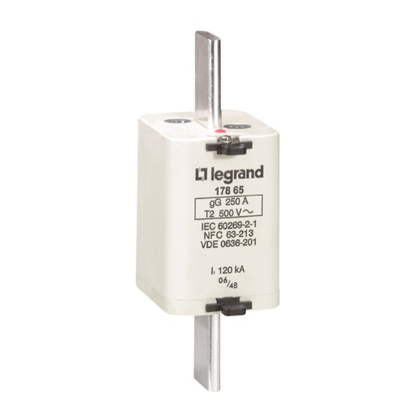 Legrand 017865 Industrial Blade-type Cartridge GG Type Size