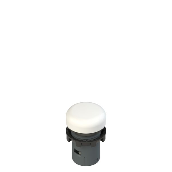 Pizzato E6 1IL7A2110 Illuminated monolithic indicator