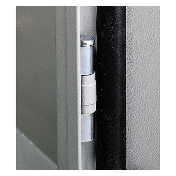Schneider Electric NSYAEDH120S3D Hinge