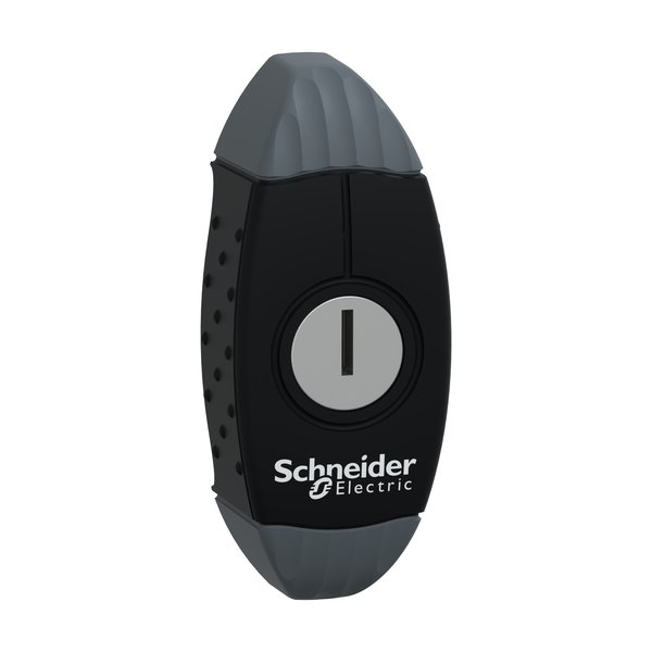 Schneider Electric NSYAEDL1242S3D Handle