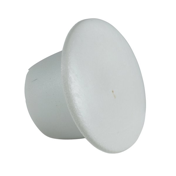 Schneider Electric NSYCSP Trim Cap