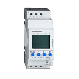 Schrack Technik BZT18D012W Digital 2 Channel