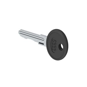 Schrack Technik DV905334-- 2 Keys 5333