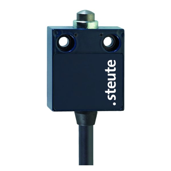 Steute E 12 - 2m