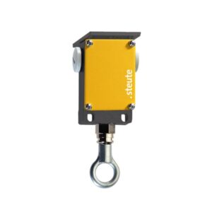Steute ES 41 Z 1Ö/1S Ceiling mounting DM