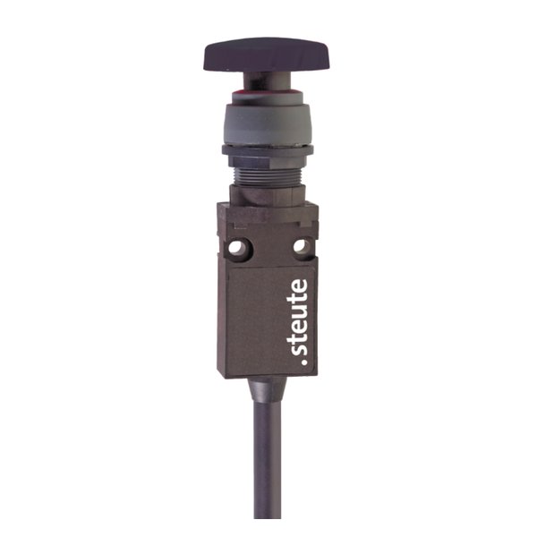 Steute ES 14 RS SW 1Ö/1S-1m