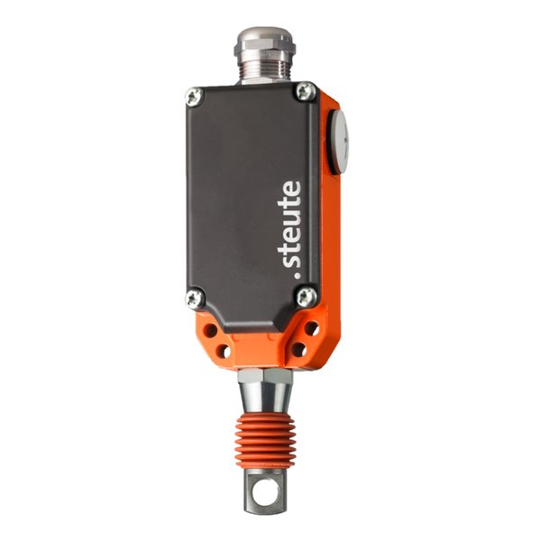 Steute ZS 71 WZ 1Ö/1S RE -40°C IP67 55N Extreme