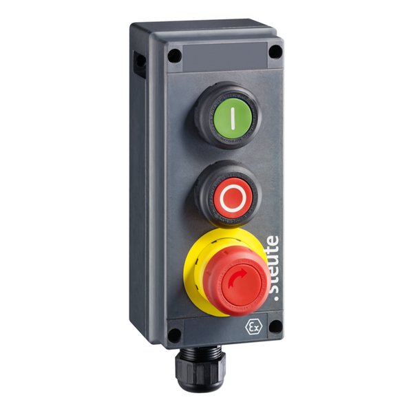 Steute Ex BF 80 3 DT/DT/PZTNA 1ÖS/1ÖS/1ÖS -60°C