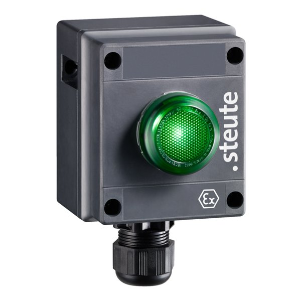 Steute Ex BF 80 1 LM LED -60°C